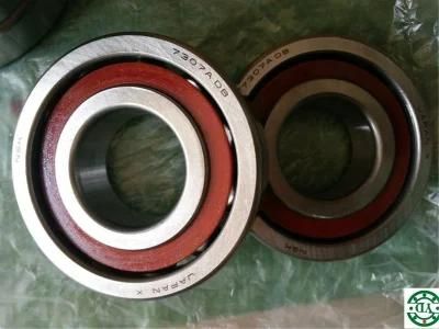 Hot Sale China Angular Contact Ball Bearing BS5590TN1