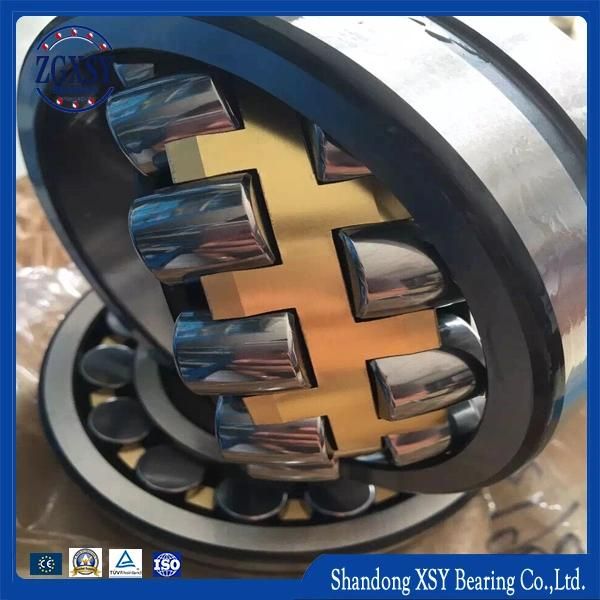 Bearing 1309 Etn9 Self-Aligning Bearing