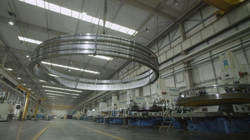 Customized Slewing Ring Slewing Bearing for Port Machinery