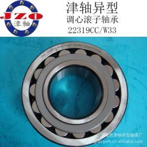 Self-Aligning Roller Bearing