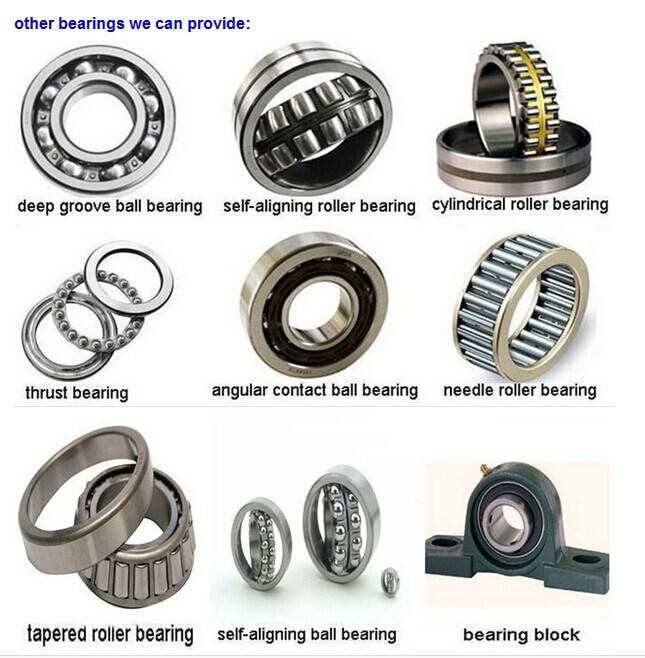 Angular Contact Ball Bearing (7202B)