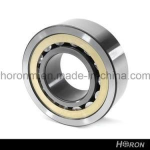 Cylindrical Roller Bearing (NJ 1009 ECP)