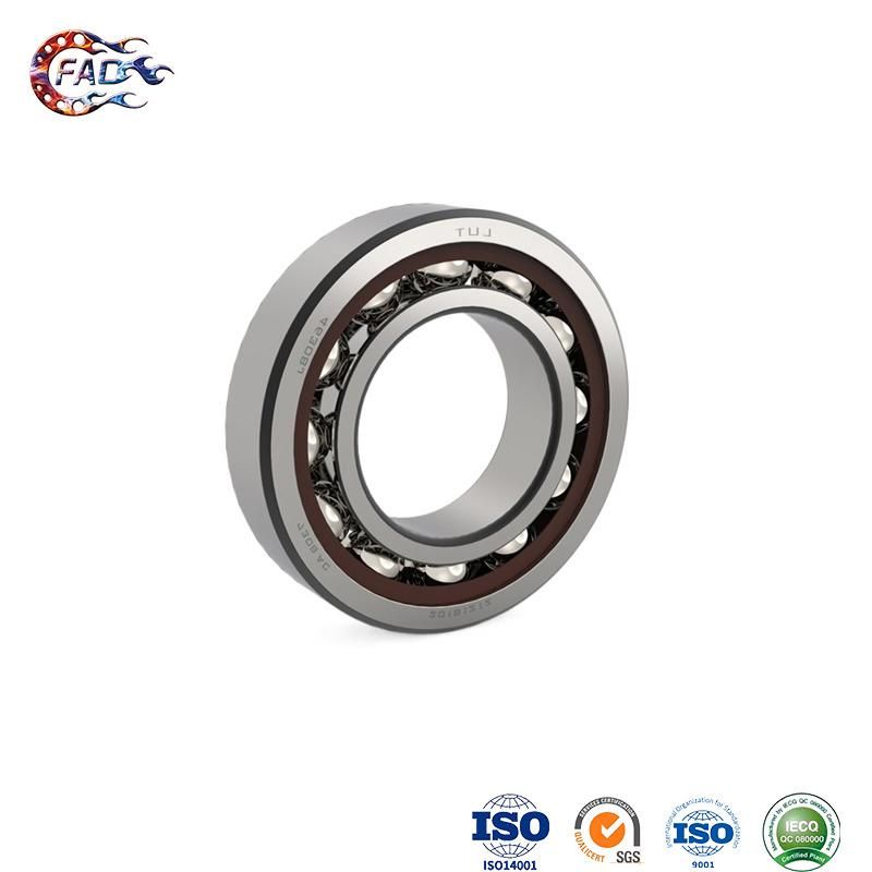 Xinhuo Bearing China Hydrodynamic Bearing ODM Car Parts Rear Wheel Hub Bearing Hub113t5 for Car 7317bm