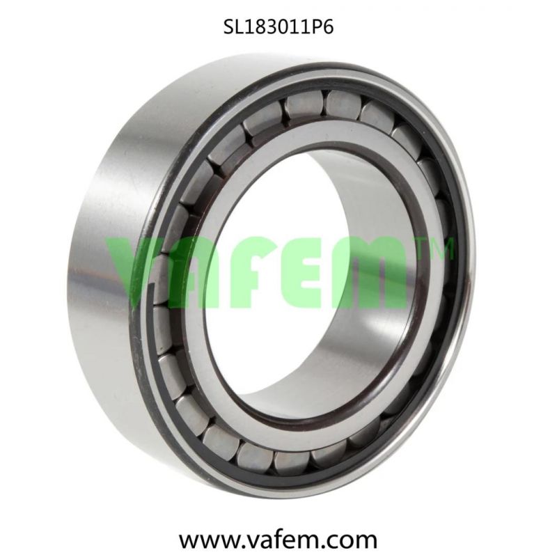 Cylindrical Roller Bearing Nj309e/Roller Bearing/Auto Parts/Quality Certified