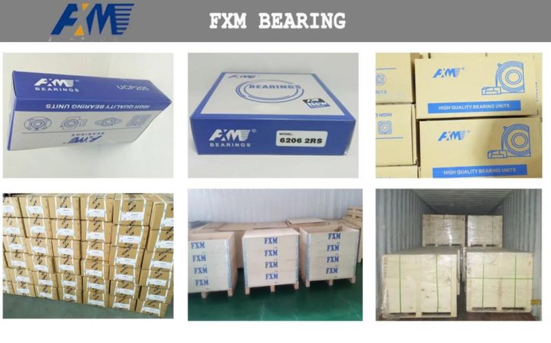 Mounted Bearing, Bearing Inserts and Units, Sbpf/Sapf/Ucha200/Sbpft/UCT200/Nat200/Ucst200/Ucc200/Ucfb200/Ucfa200 Pillow Block Bearings