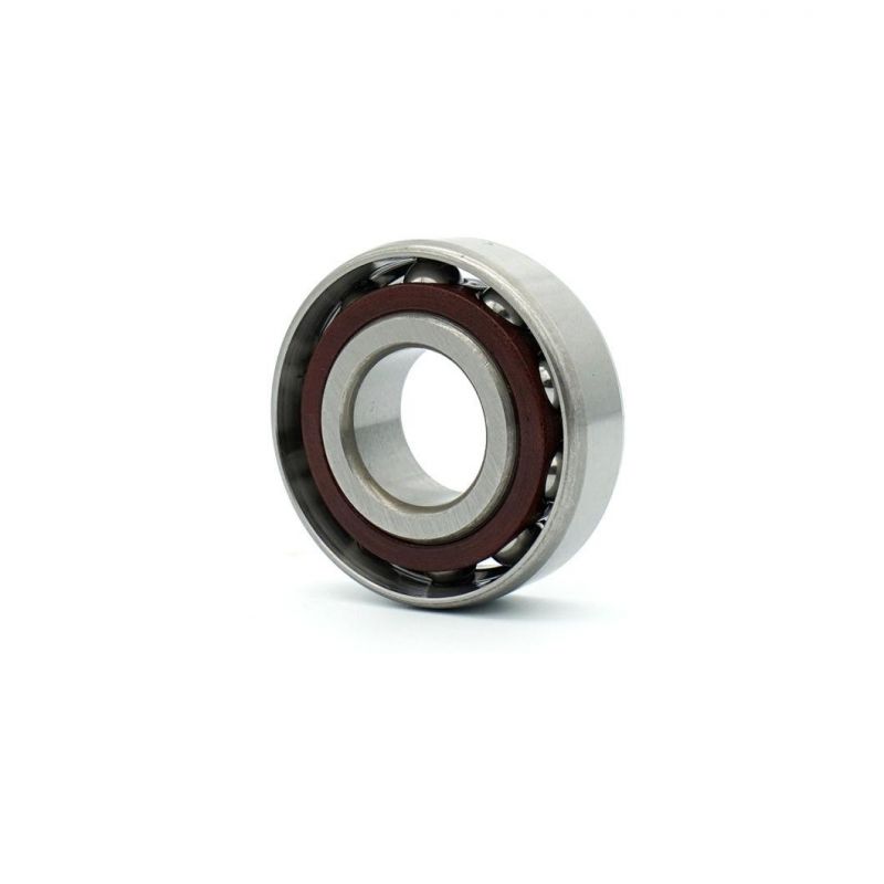 Japan NSK Bearings Angular Contact Ball Bearing NSK Bearing 7202 7203 7204 7205 7206 7210