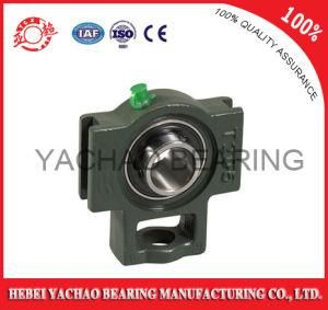 High Quality Good Price Pillow Block Bearing (Uct203 Ucp203 Ucf203 Ucfl203 Uc203)