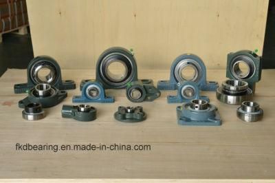 High Quality Fkdpillow Block and Bearing, Fkd Bearing Unit, Fkd Bearing Housings (UCFL203 UCFL204 UCFL205 UCFL206 UCFL207 UCFL208)