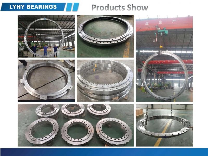 Single Row Ball Slewing Ring Bearing Gear Bearing Turntable Bearing 010.40.800