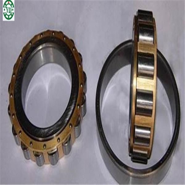 Nj203 Cylindrical Roller Bearing for Pump Machine Motor