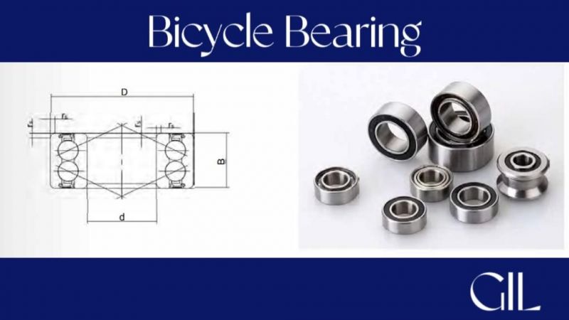 GIL 5200-ZZ 5200-2RS 3200ZZ 3200-2RS Bicycle Motorcycle Auto Parts Double Row Angular Contact Ball Bearing