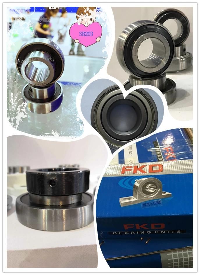 Fkd Pillow Block Bearing for Machinery with Gcr15 Bearing (UCFC 207, UCT204, 6005 2RS)