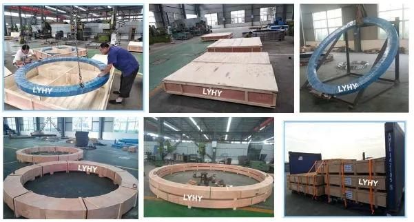 Turntable Bearing 192.20.2000.990.41.1502 Slewing Ring for Korea Crane 192.25.1800.990.41.1502