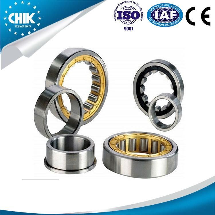 Chik/NSK/SKF/NTN/Koyo/Timken Brand Nu202~Nu244 Model Cylindrical Roller Bearing