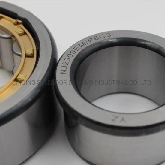 Cylindrical Roller Bearing Nu1021em Nu1022em Nu1024em Nu026em Nu1028em Nu1030em