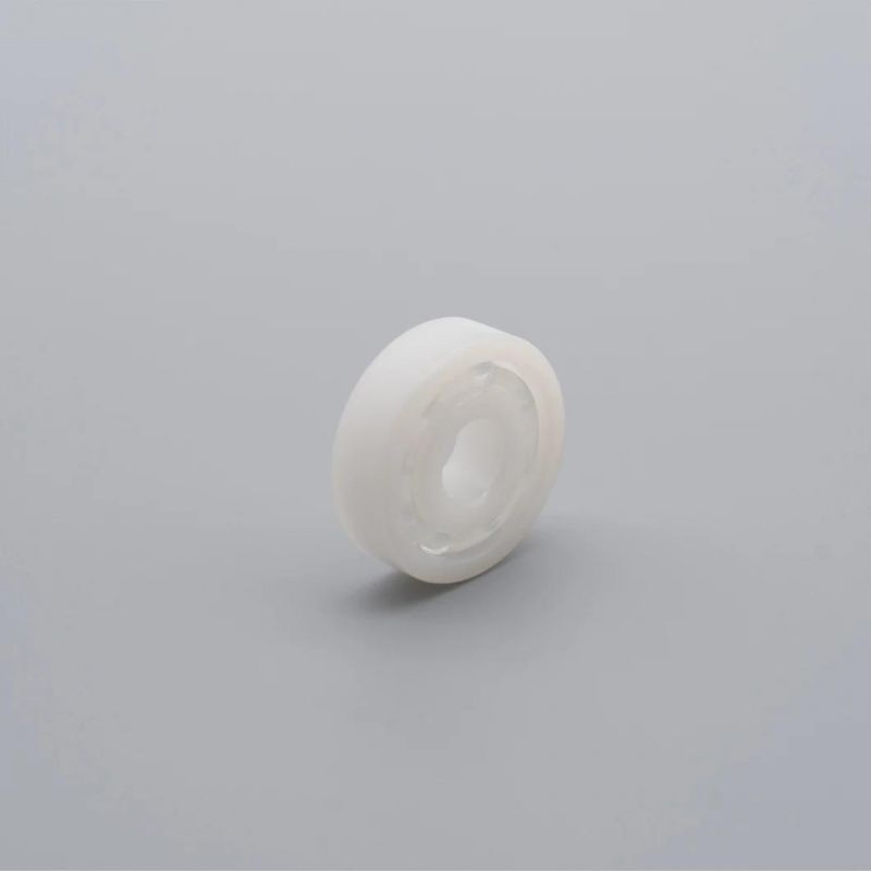 Plastic Bearing 6207 6208 6209 6210 PP POM