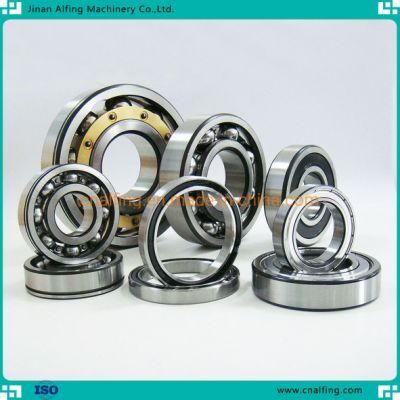 Deep Groove Ball Bearing, Wheel Hub Bearing, Taper/Cylindrical Roller Bearing, Pillow Block, Universal Joint Cross Bearing, Miniature Bearing