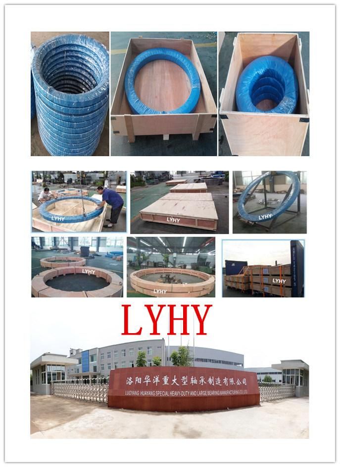 Lyhy Four Contact Ball Slewing Bearings Truntable Bearings with Internal Gear 2di. 095.10