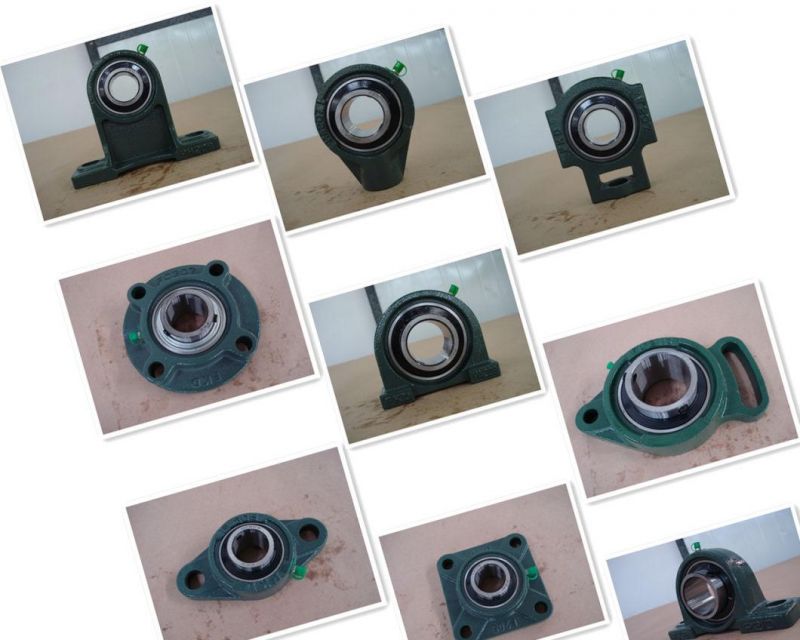 Bearing Pillow Block /Chrome Steel Bearing (UCFL203 203-11 UCFL204)