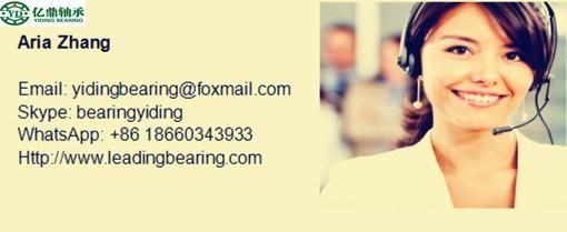 China Angular Contact Ball Bearing B707c