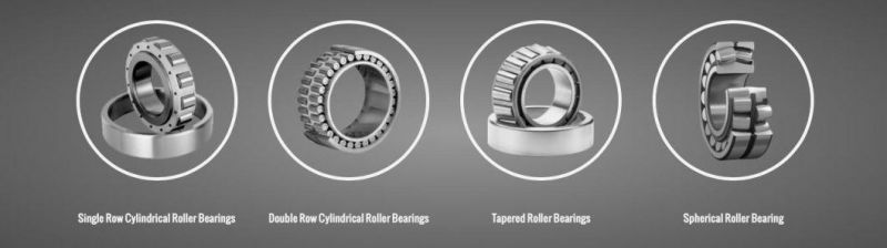 GIL NJ202-NJ222 d=15-110mm Single Row Cylindrical Roller Bearing