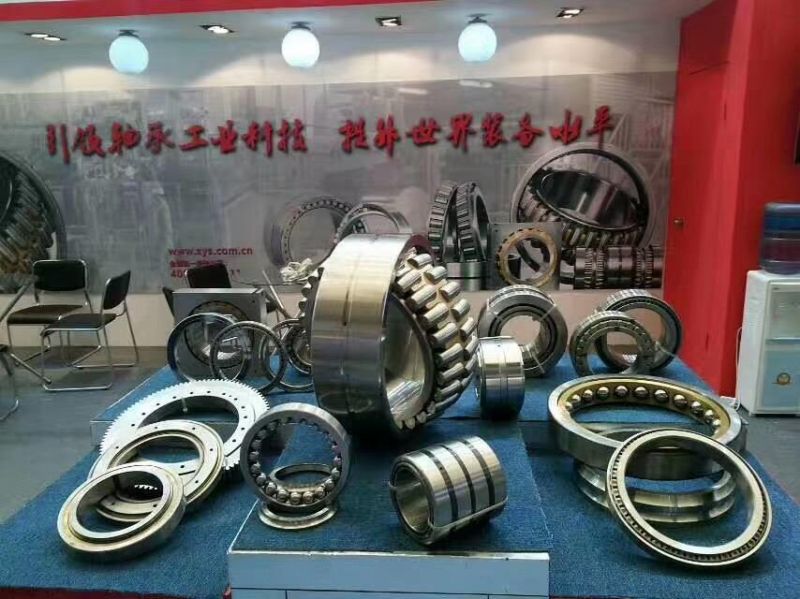 Distributor and Manufacturer of Vibrating Screen Bearing 24040-E1 Double Row Spherical Roller Bearings 200*310*109 mm