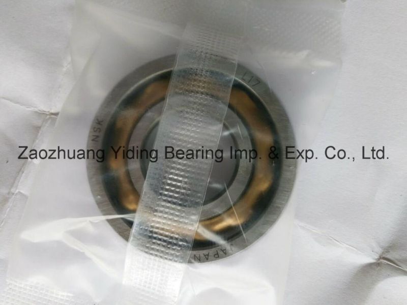 Magneto Ball Bearing NSK L17 E17 B017 E18 Motor Bearing in Stock