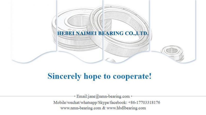 Factory Supply 35*62*14 Deep Groove Ball Bearing 6007 Zz 2z Bearing