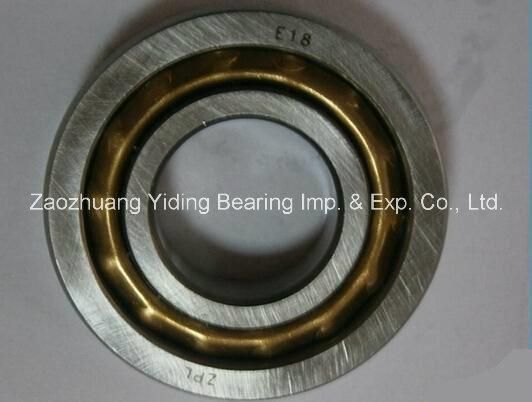 Electric Motor Motorcycle Magneto Bearing En17 L17 Bo17 Bearing