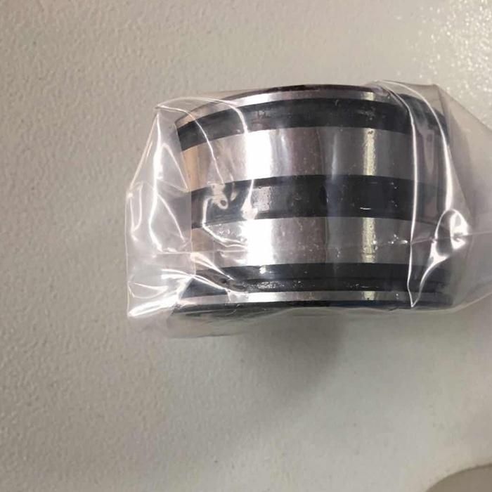 Cylindrical Roller Bearing with Full Complement Structure INA SL04 5005PP for Electromechanical Equipment