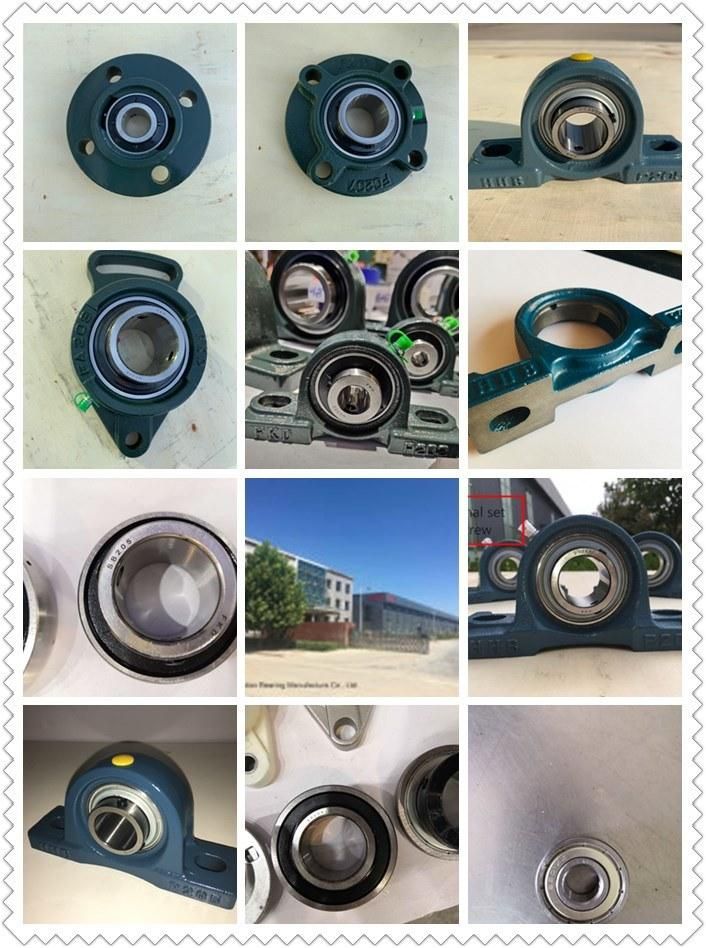 China Fkd Pillow Block Bearing Factory with Gcr15, Ht200 Housing