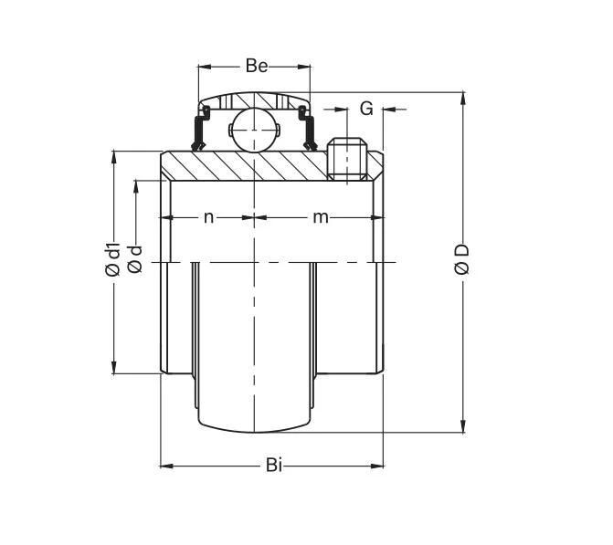 Fs Series Housing High Quality Insert Bearings Nafs306/Nafs306-18/Nafs306-19