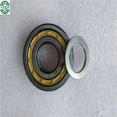 Nup309en-Tvp2 Nup309en. Tvp2 Roller Bearing Nylon Cage Cylindrical Roller Bearing for Truck