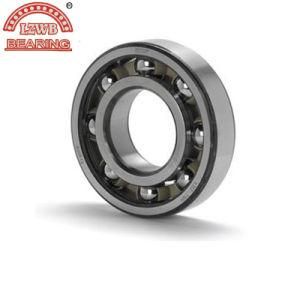 Deep Groove Ball Bearing (6217, 6317)