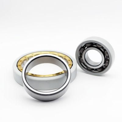 OEM Serices Electrically Insulated Bearing for Precision Instruments/Large Machinery