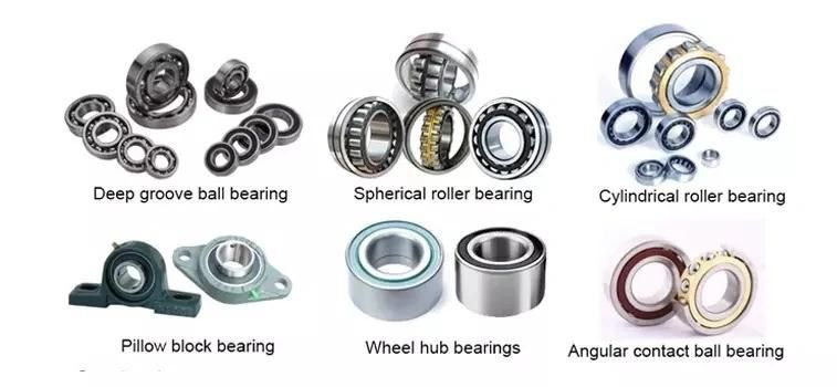 Auto Bearing/Water Pump Bearing Wr Series Wb1630100