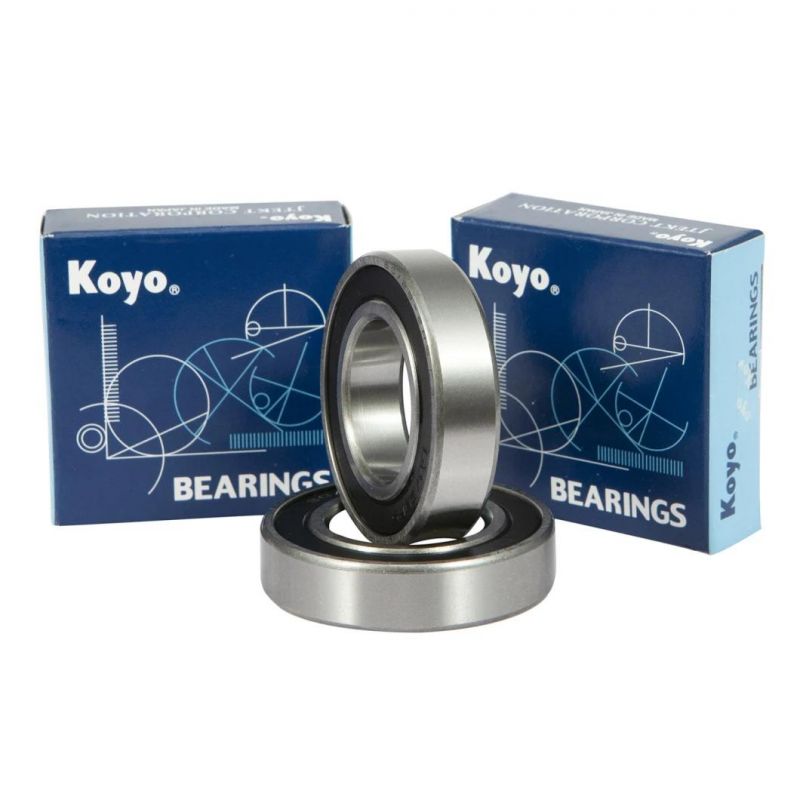 Ss6201 Double Shielded Deep Groove Ball Bearing Ss6002 Bearing with Stainless Steel Wheel Bearing Auto Parts Auto Bearing Rolling Bearing Motor Rodamietos