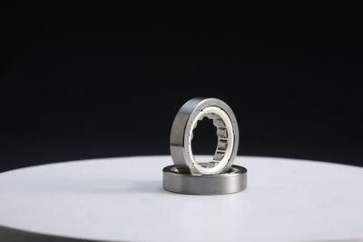 Zys Long Life Auto Bearing Cylindrical Roller Bearing Nup307e with High Speed