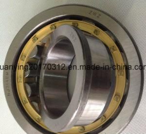 Cylindrical Roller Bearing Nu2204e Nu2205e