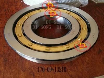 Spare Parts, Bearing 170-09-13210