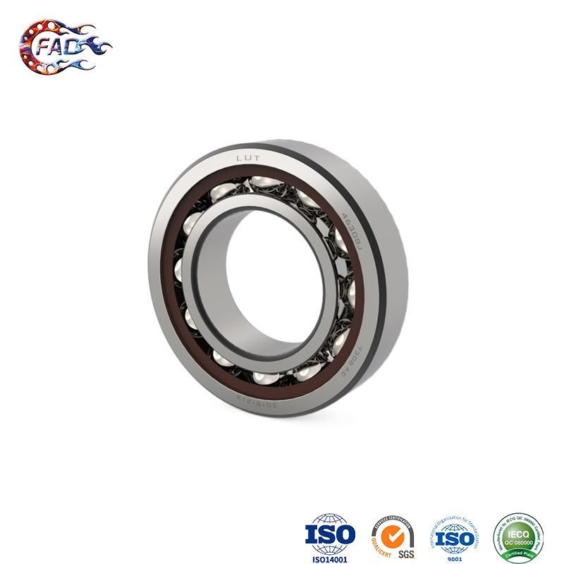 Xinhuo Bearing China Industrial Bearing Manufacturing Wearable Auto Water Pump Bearing 32062rszz