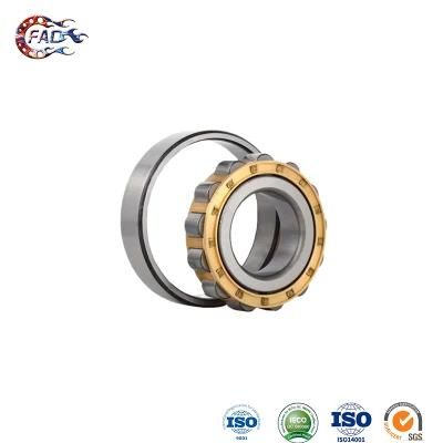 Xinhuo Bearing China 99502h Bearing Custom 6006 C3 N244em Cylindrical Roller Bearing