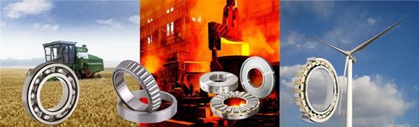 NSK NTN Timken Koyo Thrust Ball Bearing