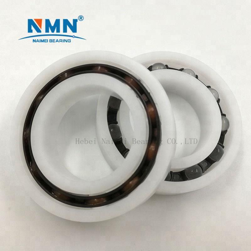 Anti-Acid Glass Ball Single Row Plastic Deep Groove Ball Bearings 6005 with PTFE Cage 25*47*12mm