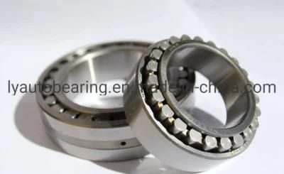 Auto Parts Cylindrical Roller Bearing (32160/NU1060) Wheel Bearing