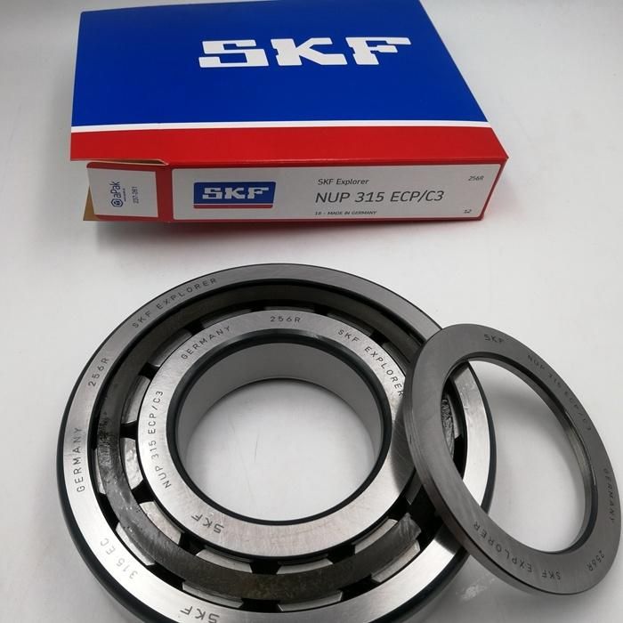 SKF Germany P6 Cylindrical Roller Bearing Machine Bearing Em Ecp Ecj Nj305 2305 Nj306 2306 Nj 307 2307 308 2308