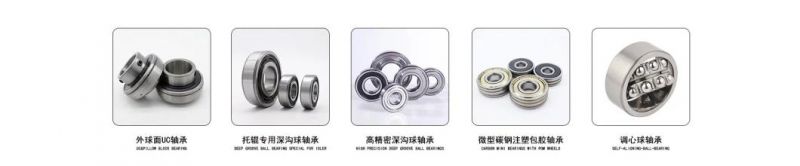 Mounted Pillow Block Housing Spherical Insert Agriculture Ball Bearings UC ,Ug,SA, Sb,Yar,Ew, Ub, En, Ubr, Enr,Nap,Alp,UCFL,Asfl,Fhsft, Sbfl,Ucha, Enpp,Fhslp