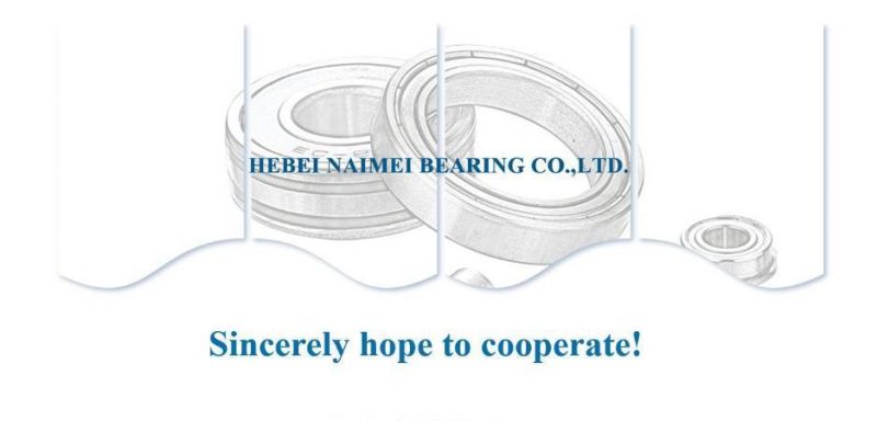 608 624 625 626zz Stainless Steel Deep Groove Ball Bearing