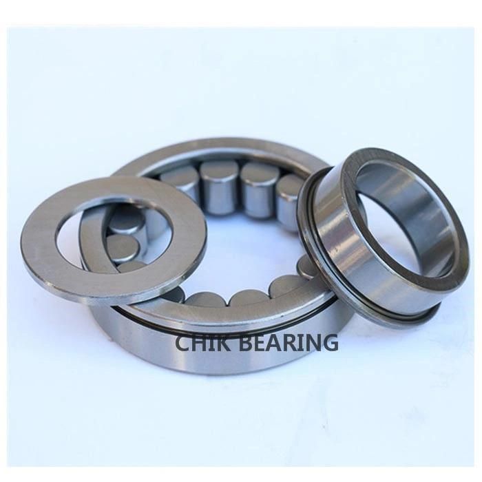 NSK Koyo NACHI Japan Bearing Cylindrical Roller Bearing for Constructive Machinery SL04 5012-N