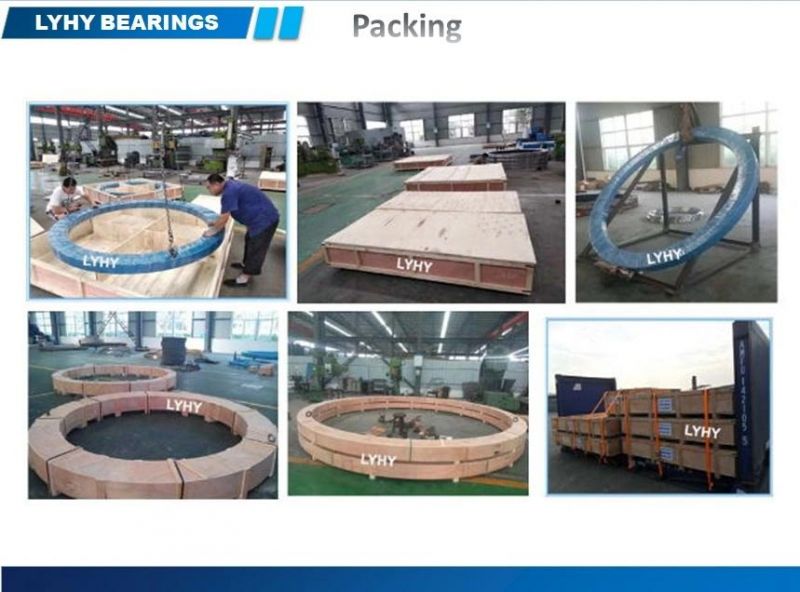 Rks. 20.0644 Turntable Bearing Slewing Ring Bearing Without Gears Ball Swing Bearing